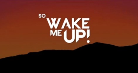 Wake Me Up Avicii