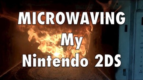 Nintendo 2DS Microwave