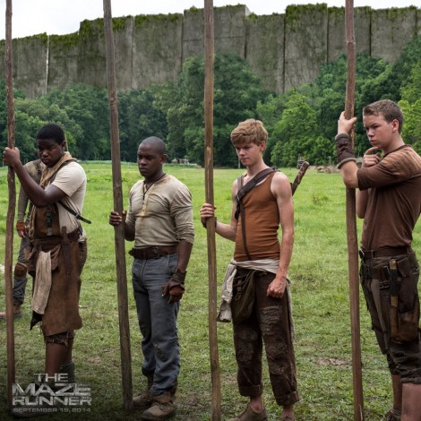 Maze-runner