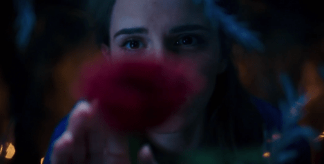 Beauty and the beast