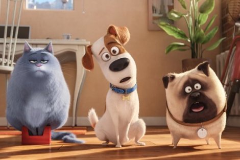 9876240101b6ec84f7ebc1cc43d22bf1